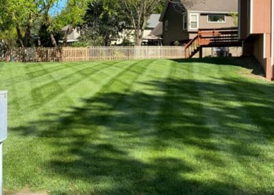 LAWN MAINTENANC services