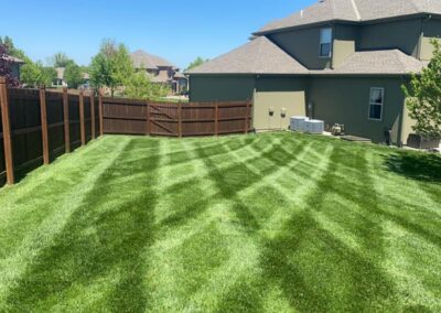 LAWN MAINTENANC