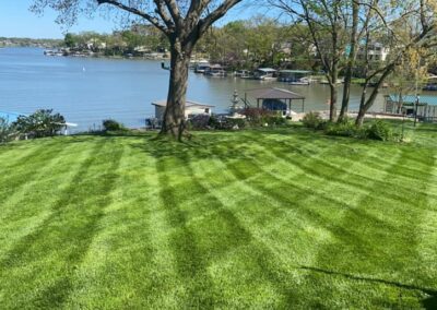 LAWN MAINTENANC