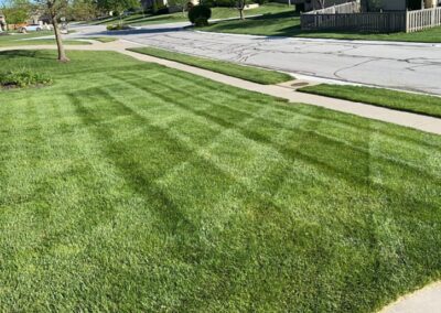 LAWN MAINTENANC